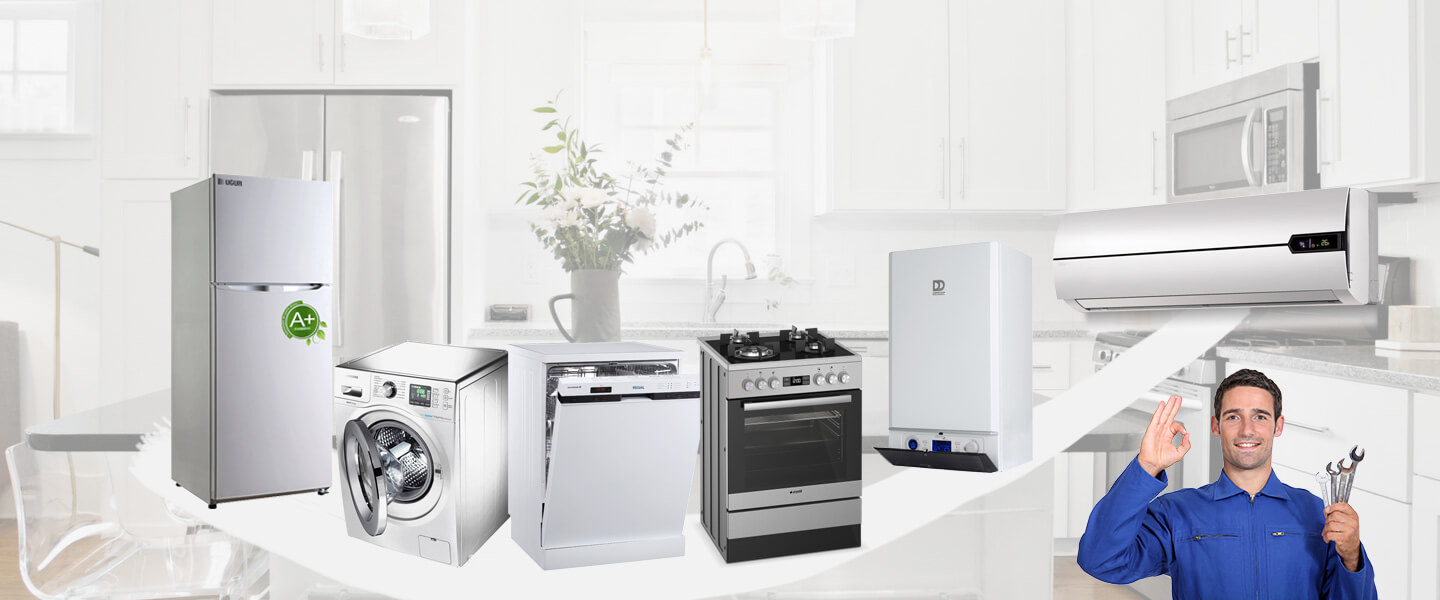 Mesudiye Electrolux Servisi